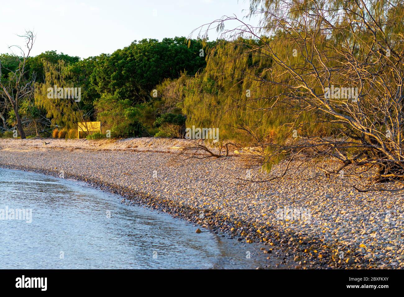 Stoney beach on Little Woody Island, Great Sandy National Park