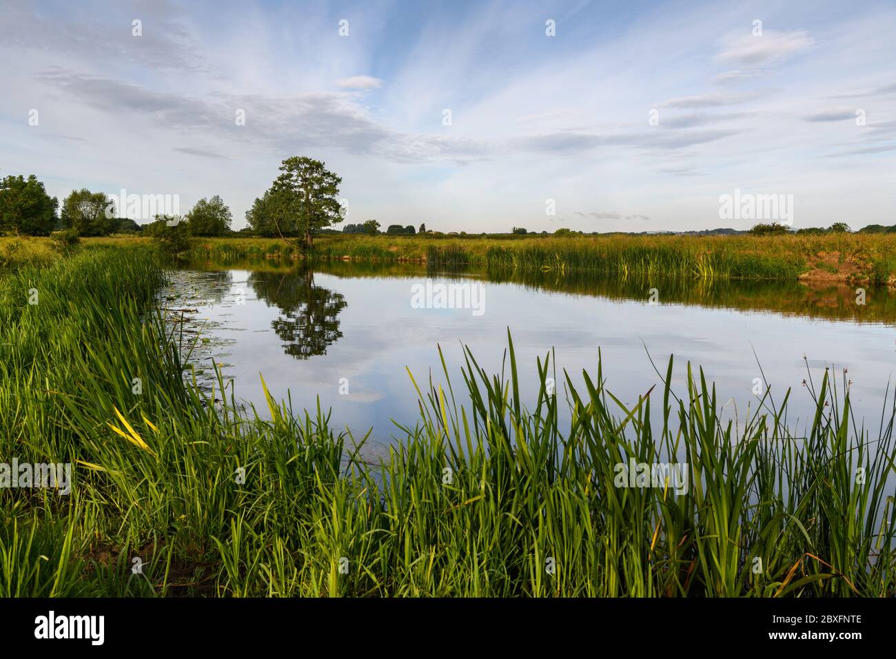 Tranquil river scenery hi-res stock photography and images - Alamy