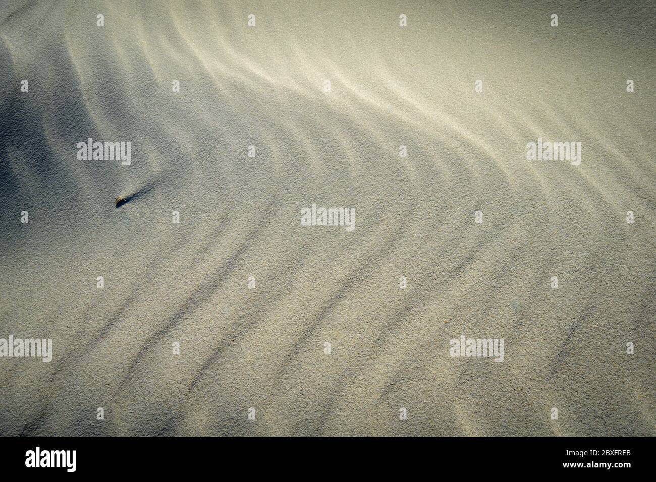 windblown patterns in beach sand Stock Photo