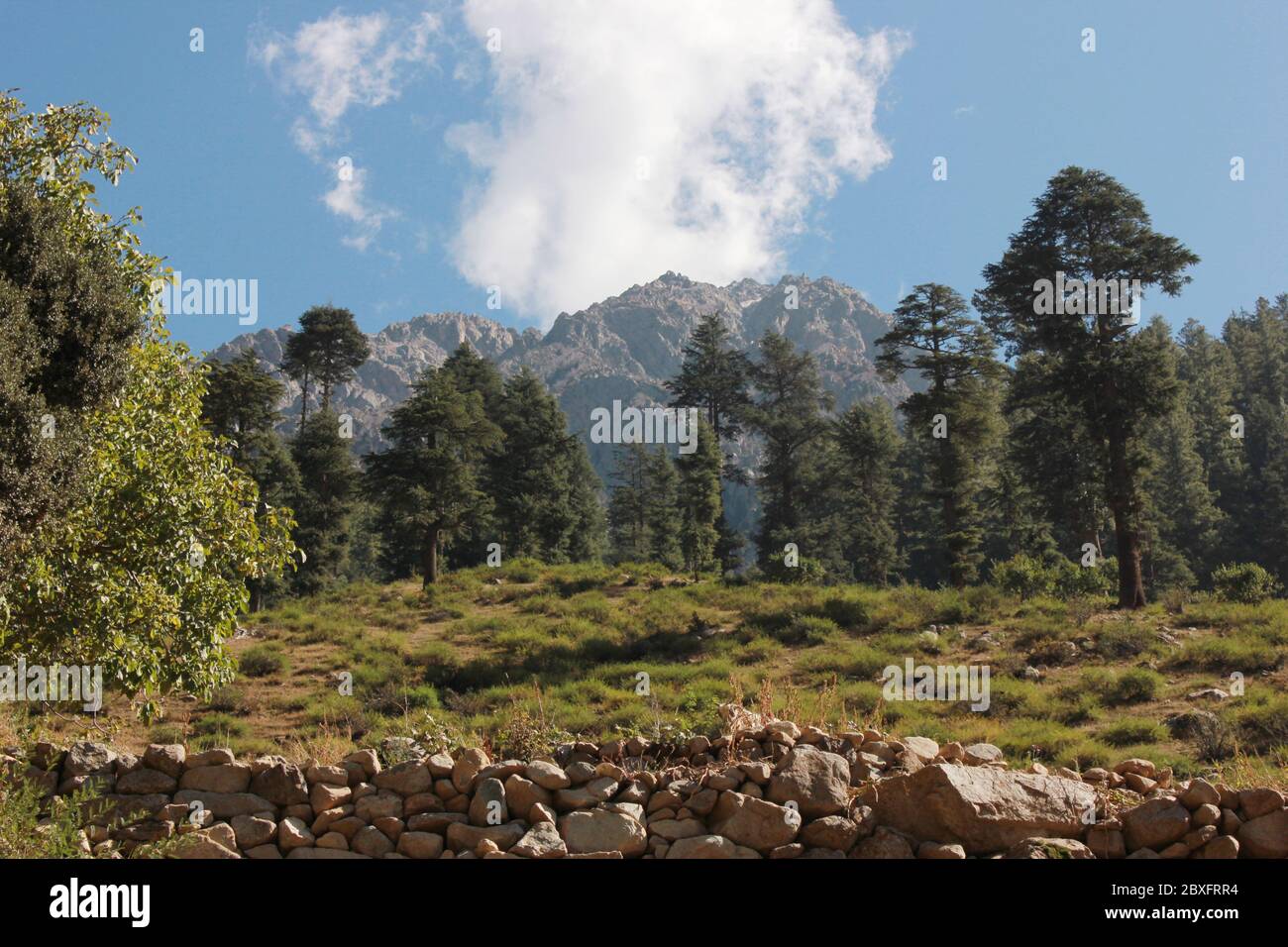 Beautiful mountains with blue skys, green trees in swat valley kpk Pakistan Stock Photo