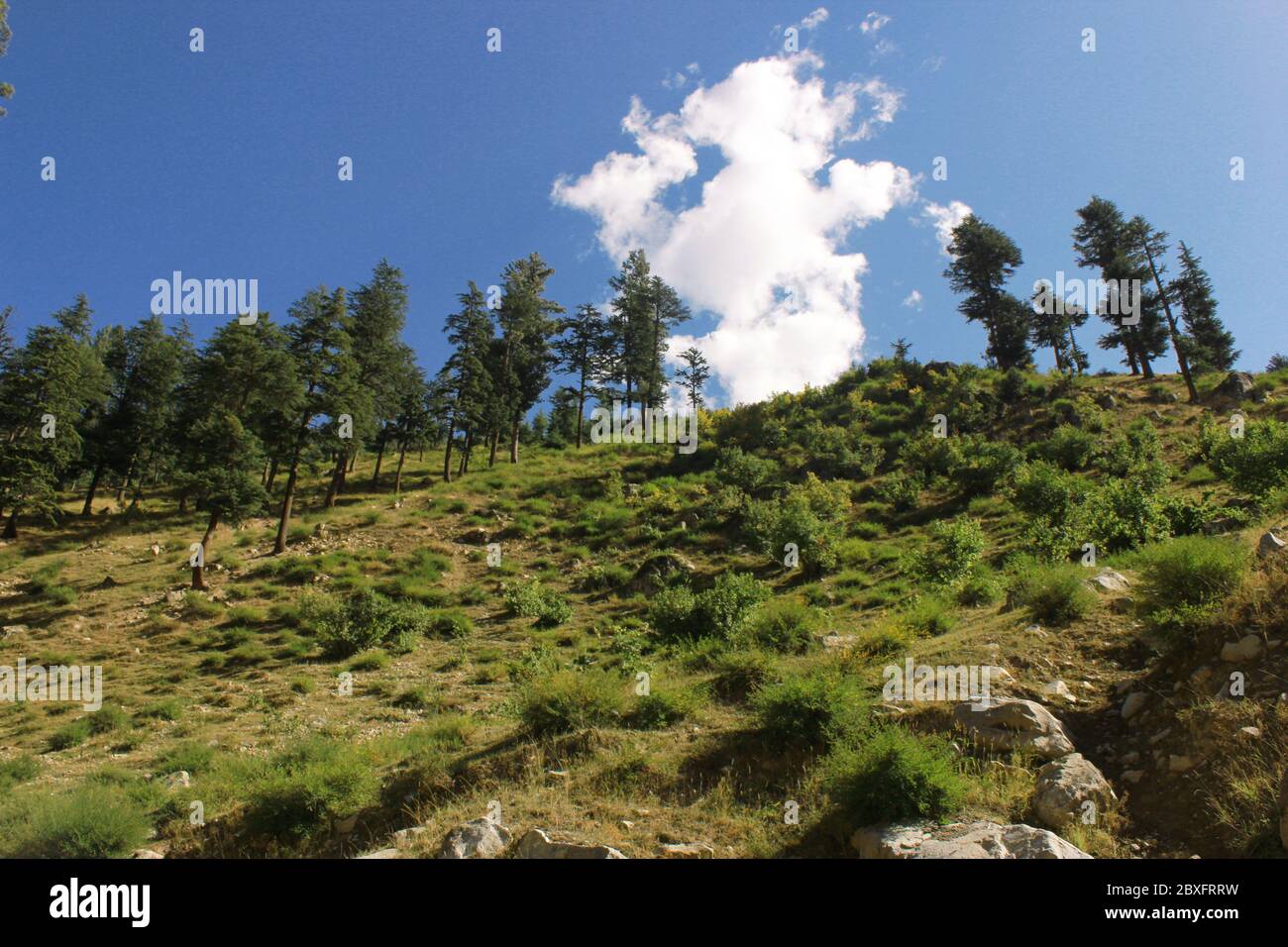 Beautiful mountains with blue skys,  green trees in swat valley kpk Pakistan Stock Photo