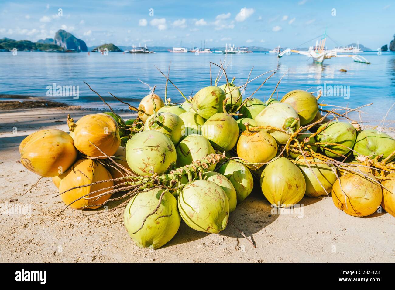 Many fresh coconut fruits on the corong beach in El Nido, Palawan, Philippines Stock Photo Alamy