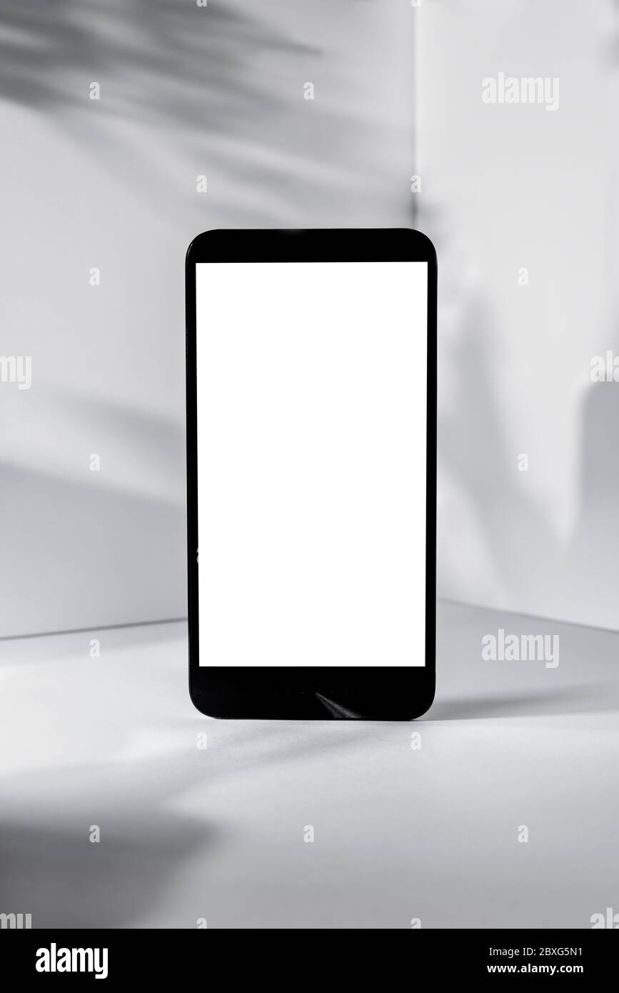 Minimalist modern smartphone mockup for presentation, in perspective front of the corner angle of the grey wall, with abstract plant shapes on backgro Stock Photo