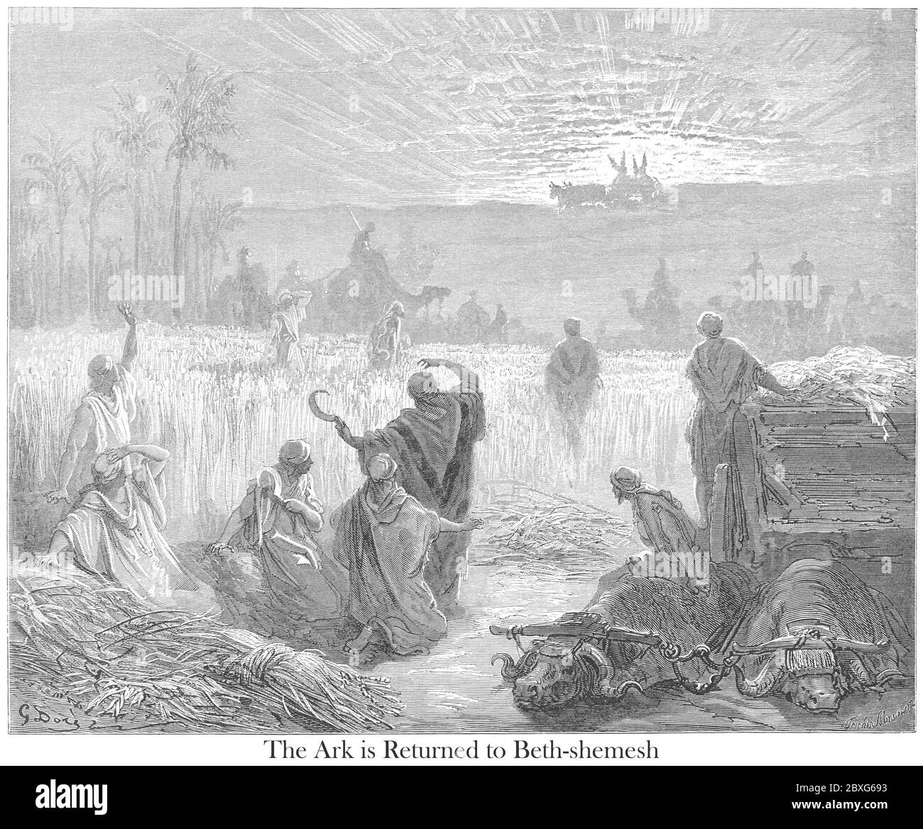Return of the Ark [Ark of the Covenant] to Bethshemesh [Beit Shemesh] 1 Samuel 6:13 From the book 'Bible Gallery' Illustrated by Gustave Dore with Memoir of Dore and Descriptive Letter-press by Talbot W. Chambers D.D. Published by Cassell & Company Limited in London and simultaneously by Mame in Tours, France in 1866 Stock Photo