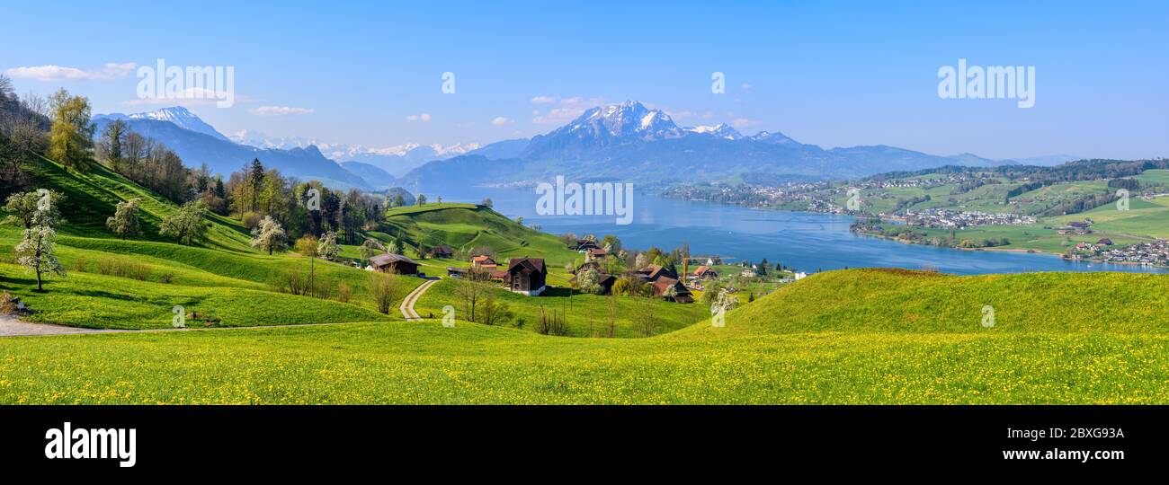 Panoramic view of Lake Lucerne, green alpine meadows blooming in spring time and the Alps mountains range with Mount Pilatus, Switzerland Stock Photo