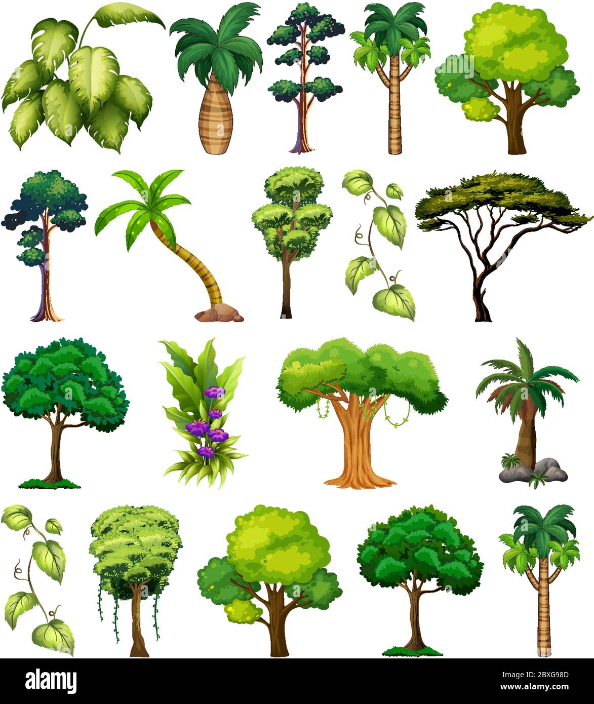 Set of variety plants and trees illustration Stock Vector Image & Art ...