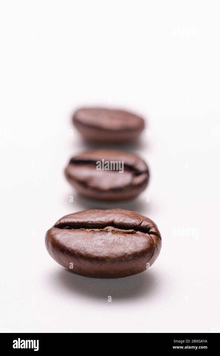 Macro close-up of roasted coffee beans on white background, in line, order aligned, symmetry Stock Photo