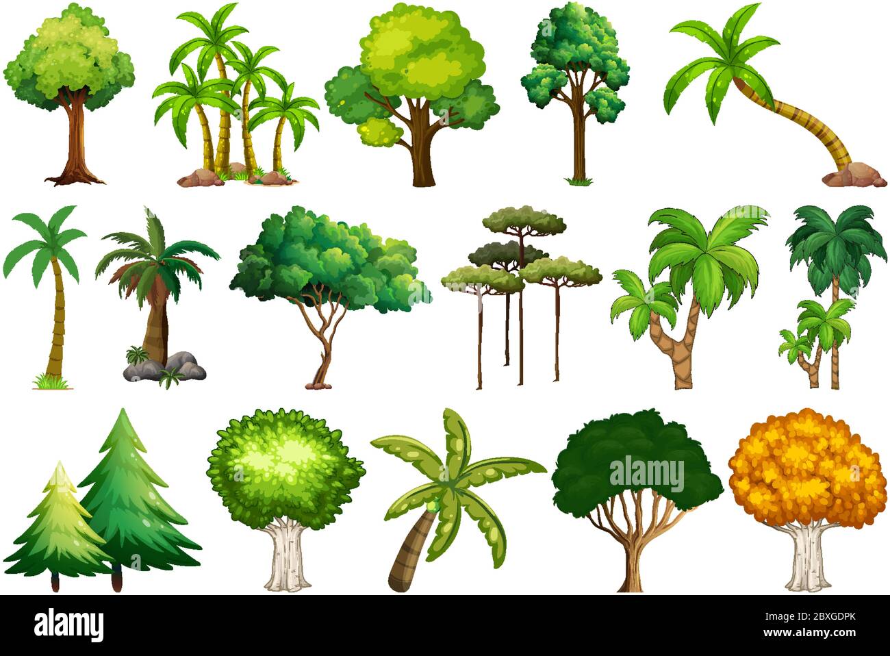 Set of variety plants and trees illustration Stock Vector Image & Art ...