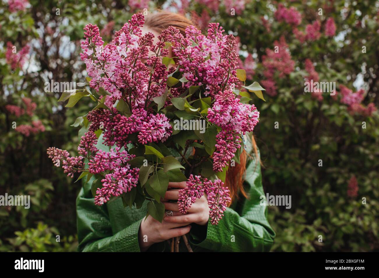 Woman standing outdoors holding freshly picked flowers, Russia Stock Photo