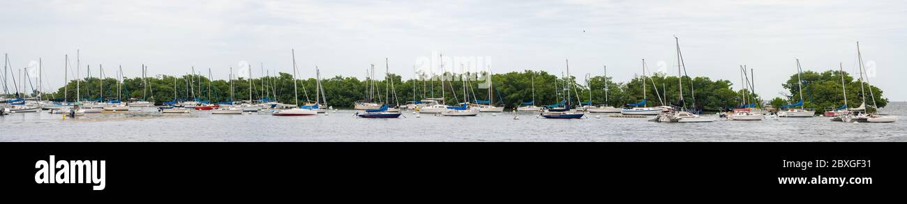 Sailboats at Dinner Key Miami Coconut Grove super panorama Stock Photo