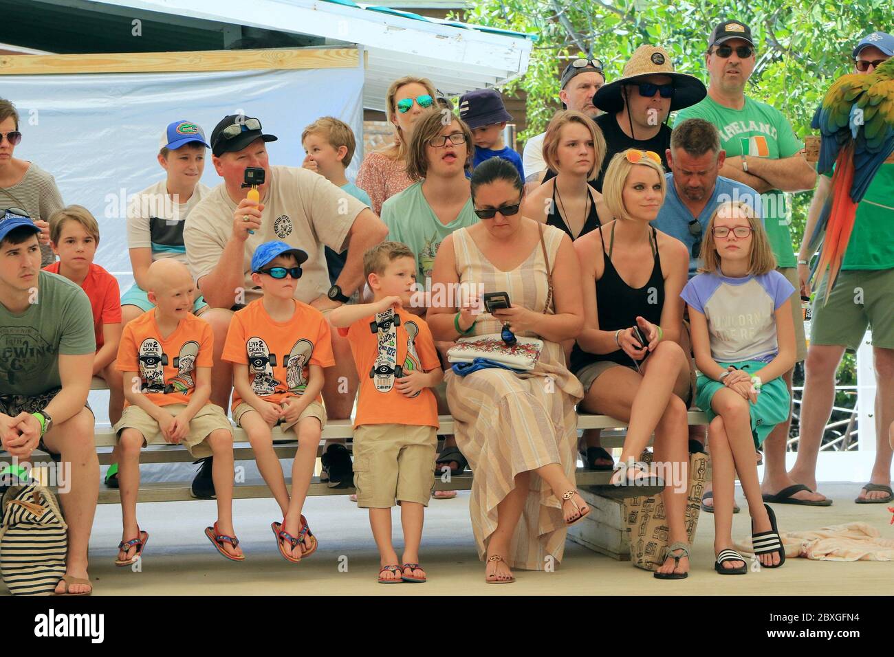 Islamorada, FL, 3/17/2020: Spectators sit and watch a parrot show at the Theater of the Sea marine park. Stock Photo