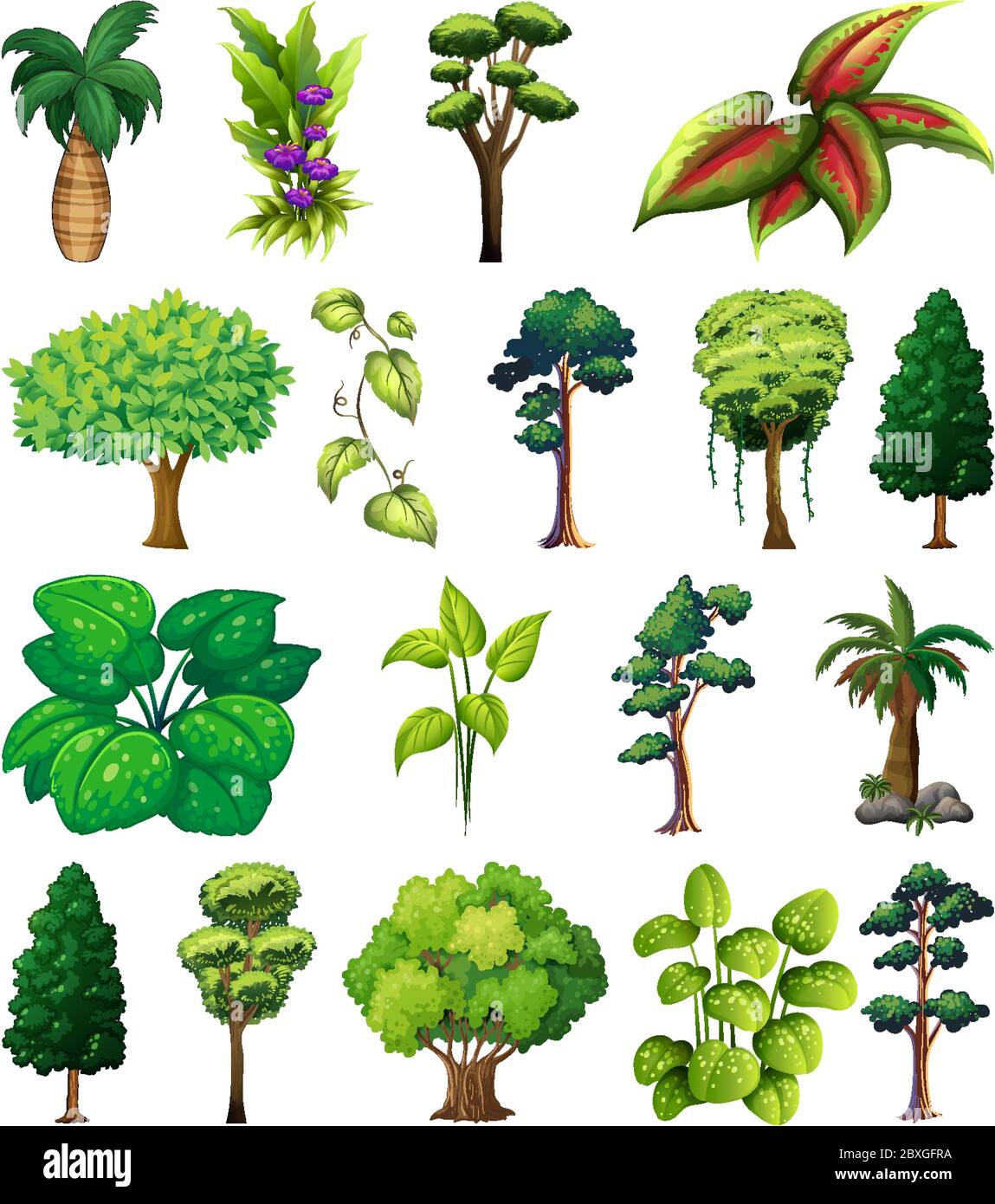 Set of variety plants and trees illustration Stock Vector Image & Art ...