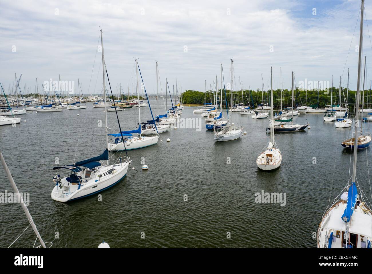Sailboats in water Dinner Key Matina Coconut Grove Miami Florida USA