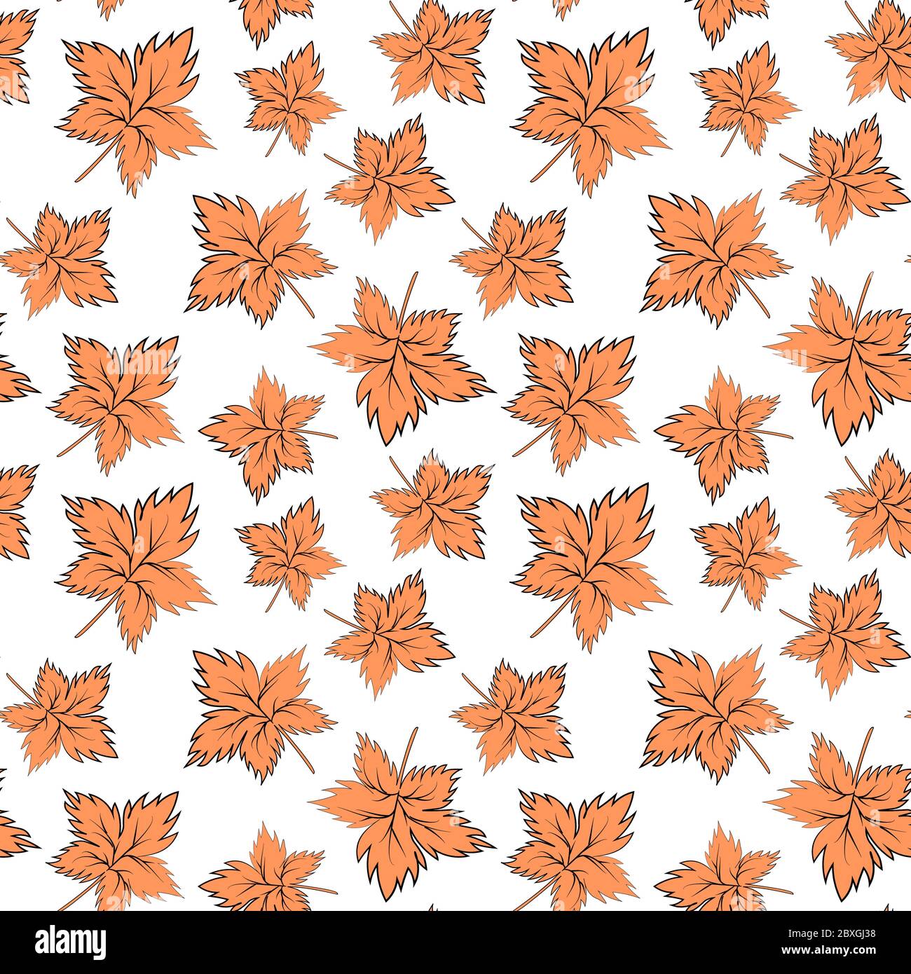 Five different leaves Stock Vector Images - Alamy