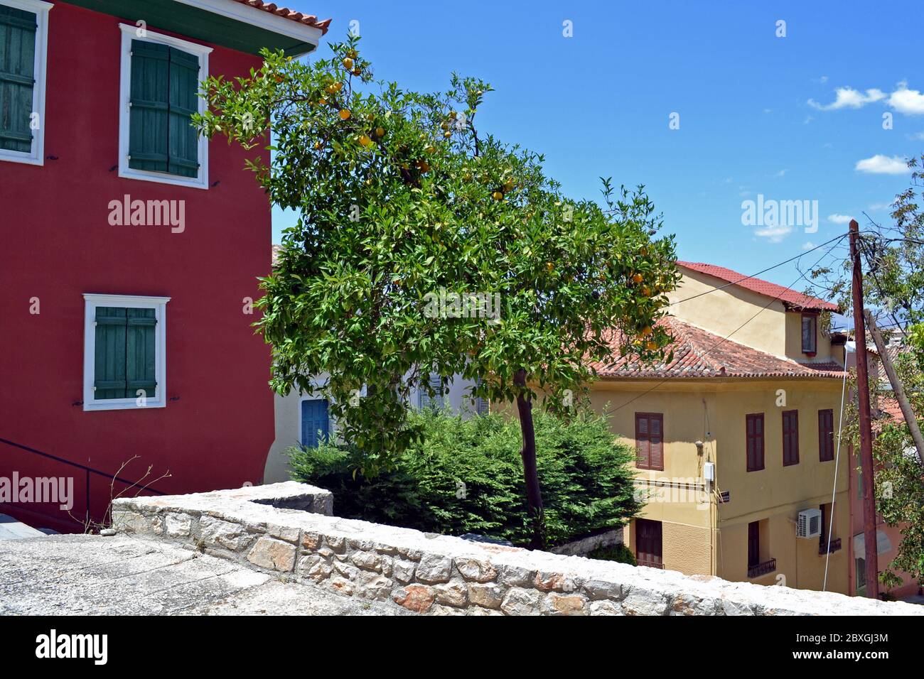 Citrus tree in Nafplio, Greece. Stock Photo