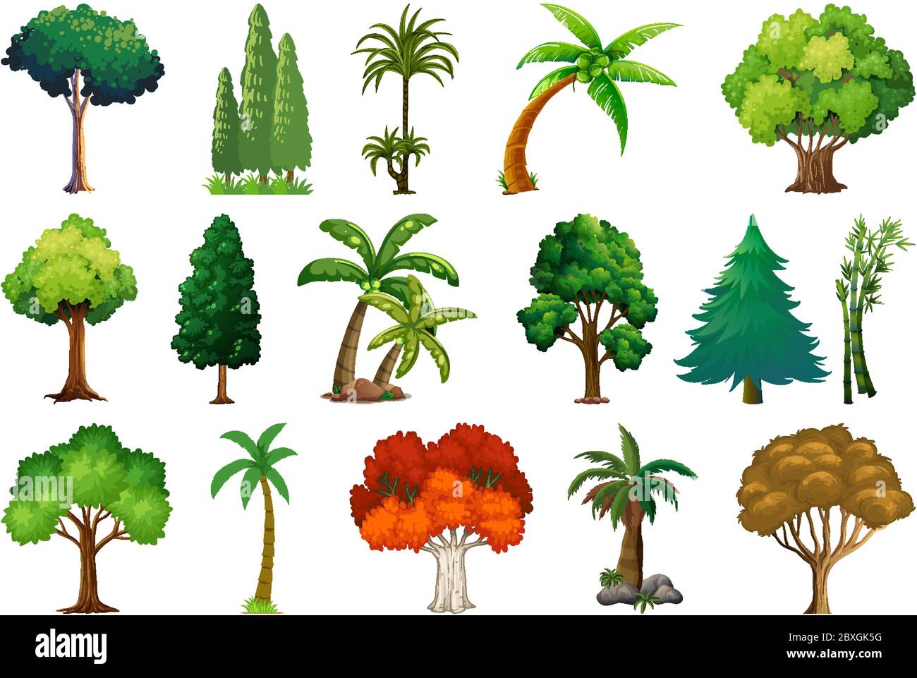 Set of variety plants and trees illustration Stock Vector Image & Art ...