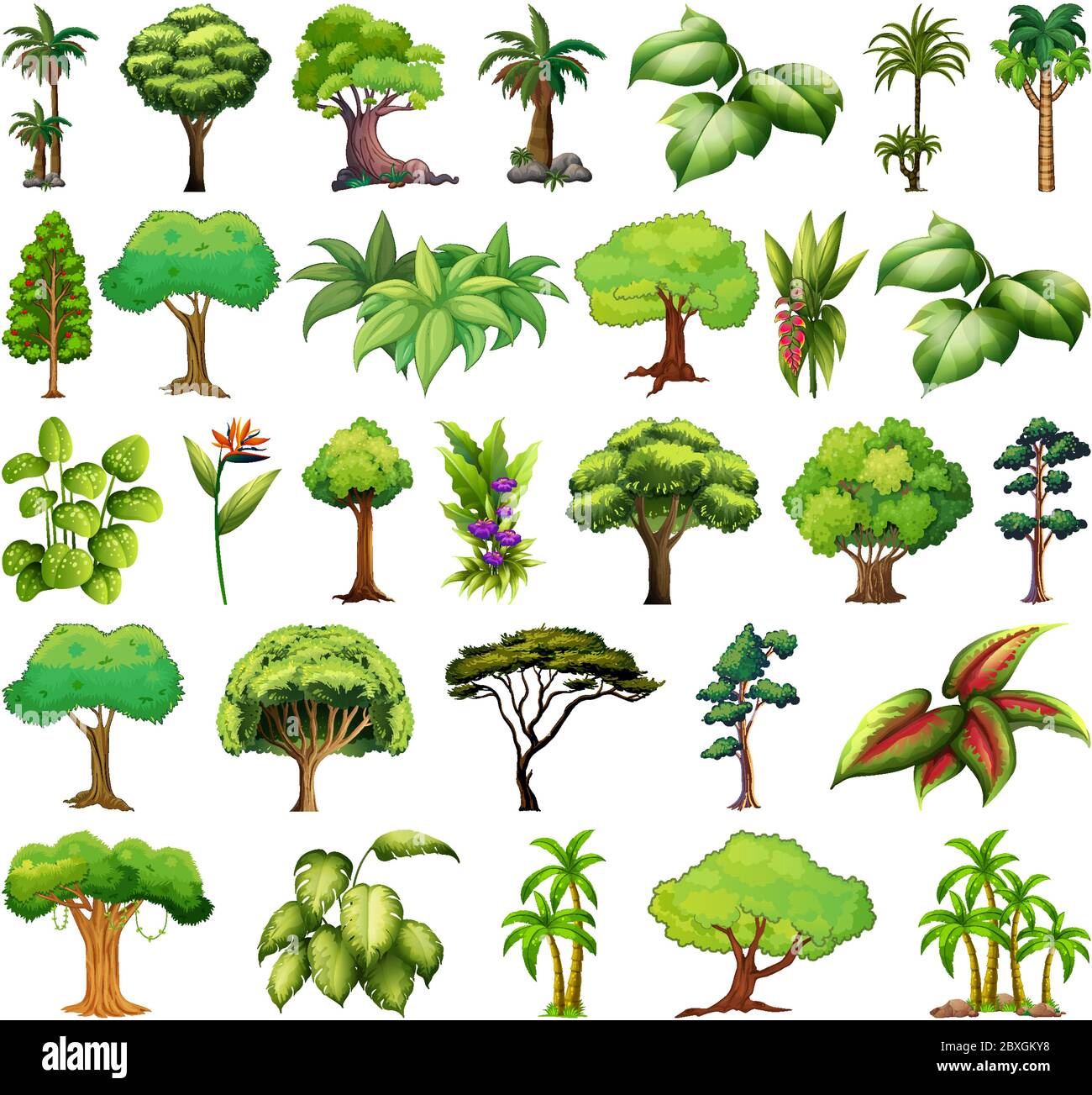 Set of variety plants and trees illustration Stock Vector Image & Art ...