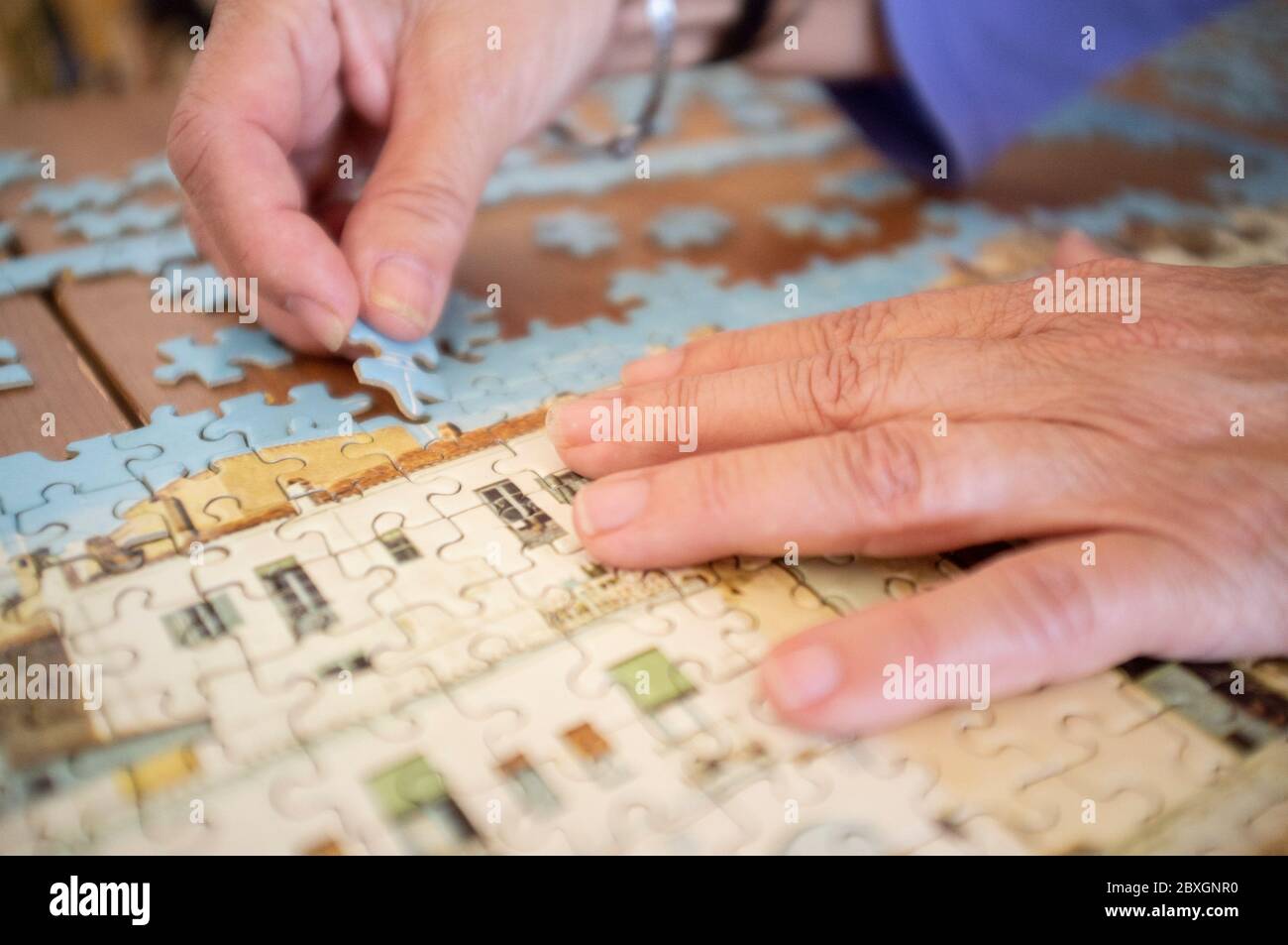 Focused on assembling a puzzle Stock Photo