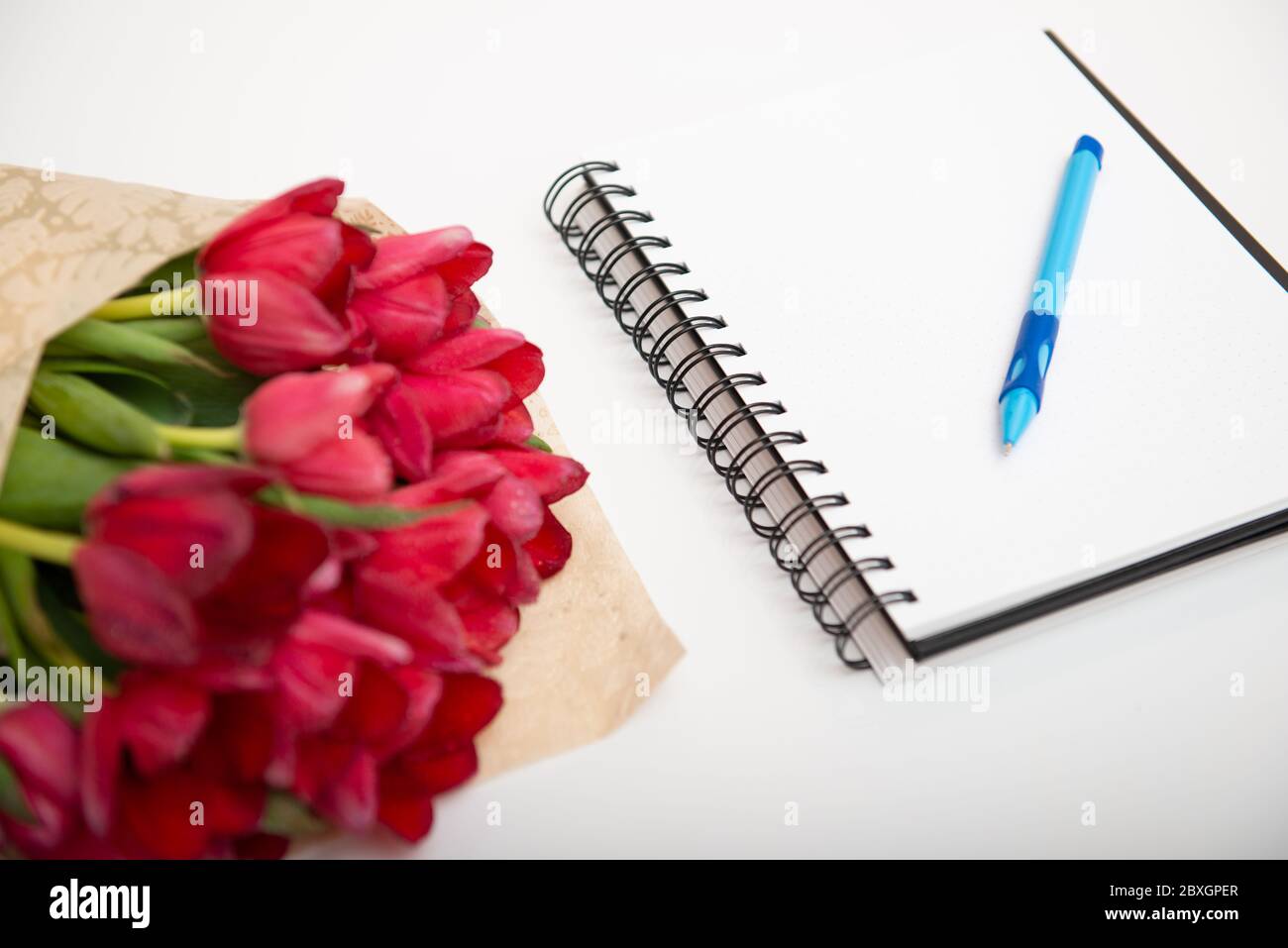 Flat lay of red bouquet tulips isolated on white with notebook and pen with empty place for your text Stock Photo