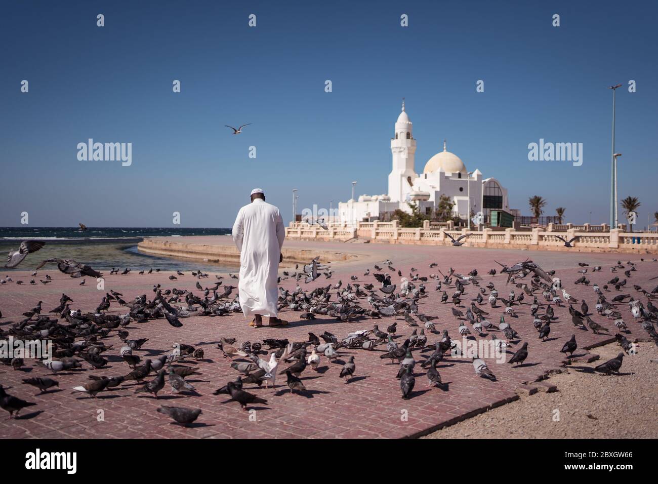 Jeddah / Saudi Arabia - January 20, 2020: Muslim believers feeding pigeons near beautiful Mosque near the sea Stock Photo