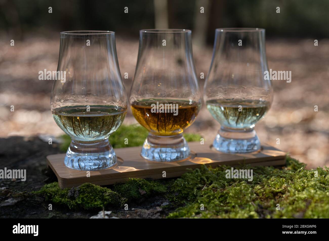 Tasting of scotch single malt whisky from Islay island, most intensely
