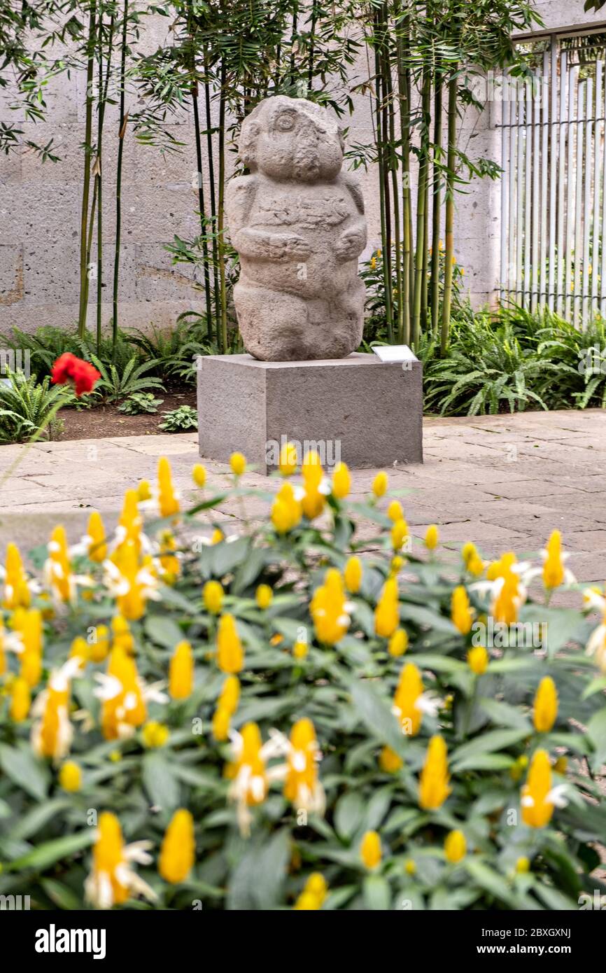 Totonacs stone sculptures on display at the Museum of Anthropology in the historic center of Xalapa, Veracruz, Mexico. The Totonac civilization were an indigenous Mesoamerican civilization dating roughly from 300 CE to about 1200 CE. Stock Photo
