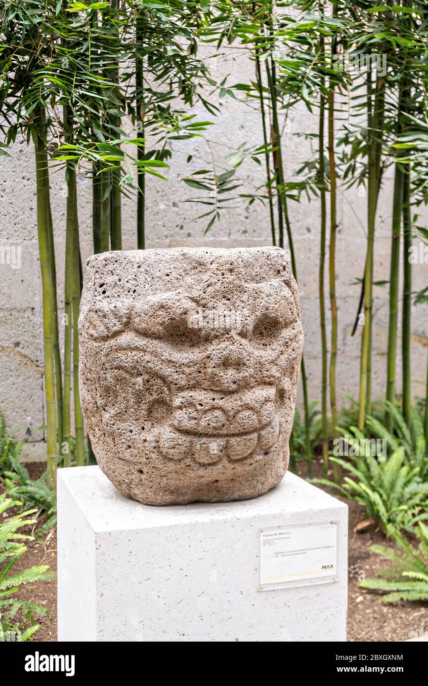 Totonacs stone sculpture of a skull on display at the Museum of Anthropology in the historic center of Xalapa, Veracruz, Mexico. The Totonac civilization were an indigenous Mesoamerican civilization dating roughly from 300 CE to about 1200 CE. Stock Photo