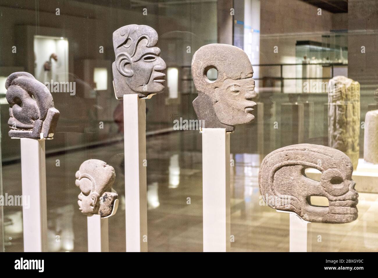 Stone sculptures from prehispanic Mesoamerican cultures on display at the Museum of Anthropology in the historic center of Xalapa, Veracruz, Mexico. Stock Photo