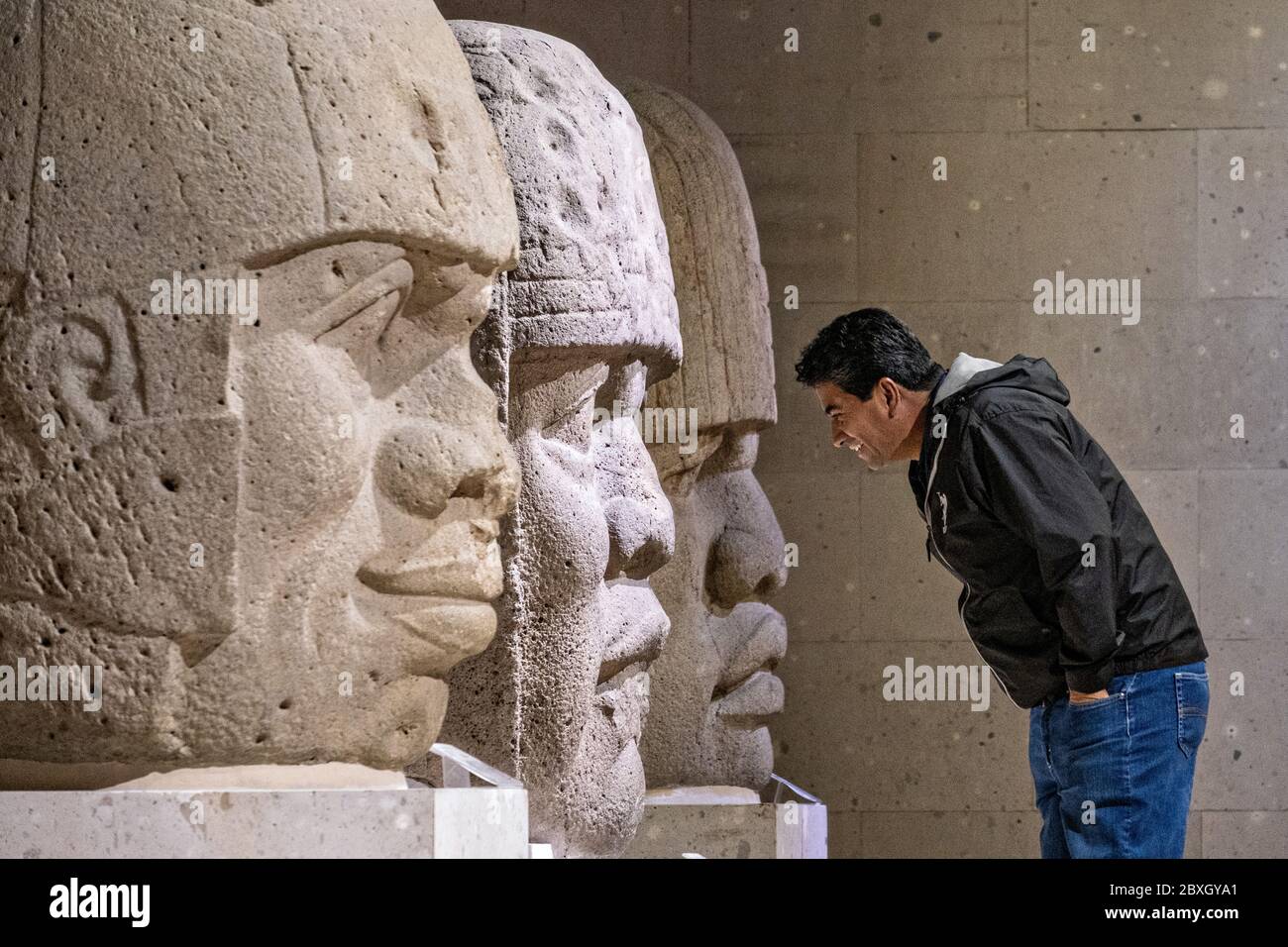 Tourist view colossal Olmec stone heads at the Museum of Anthropology in the historic center of Xalapa, Veracruz, Mexico. The Olmec civilization was the earliest known major Mesoamerican civilizations dating roughly from 1500 BCE to about 400 BCE. Stock Photo