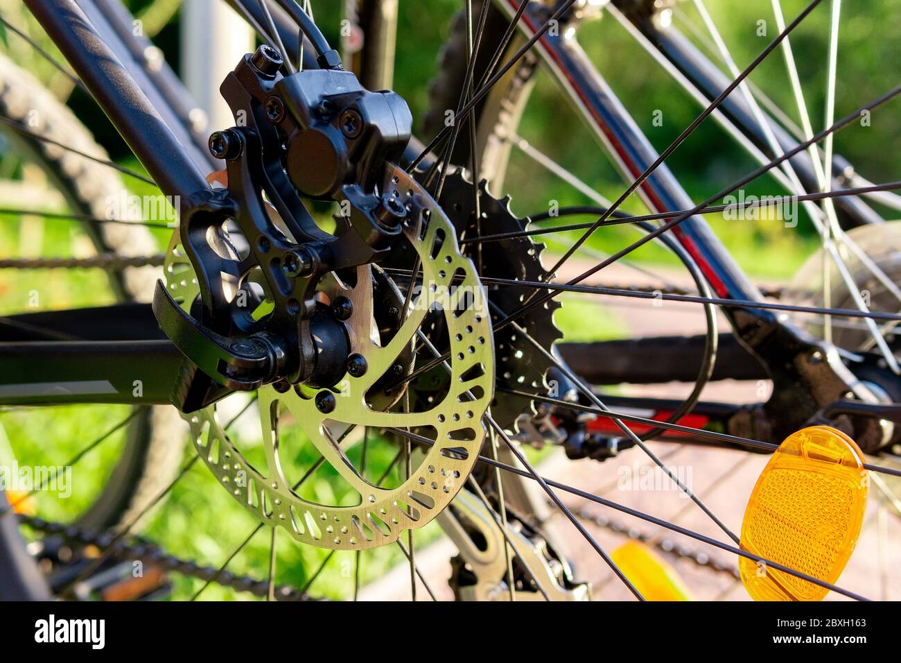 adjusting bicycle spokes
