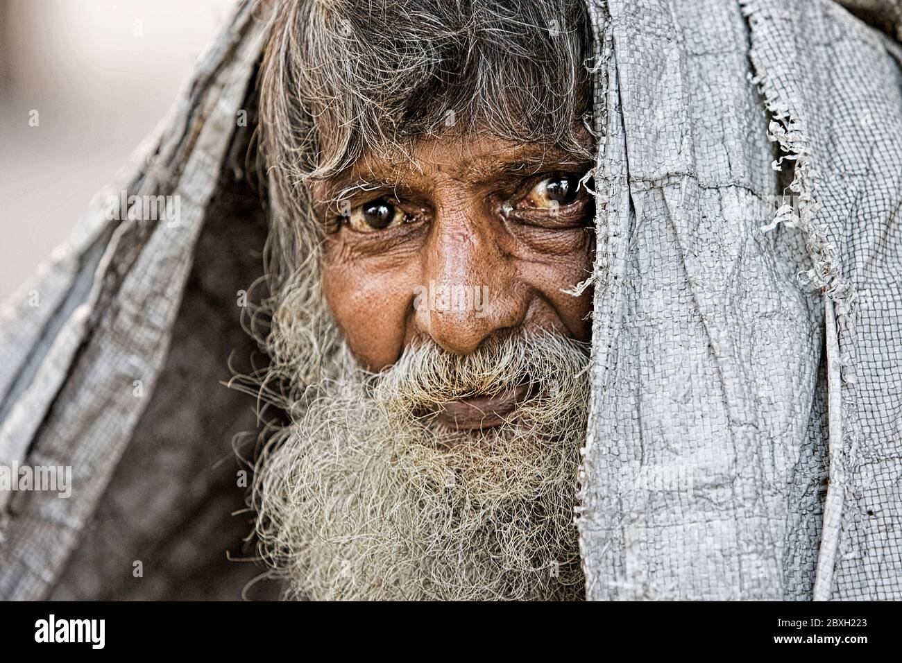 Kumbh Mela, Allahabad, India, Asia Stock Photo - Alamy