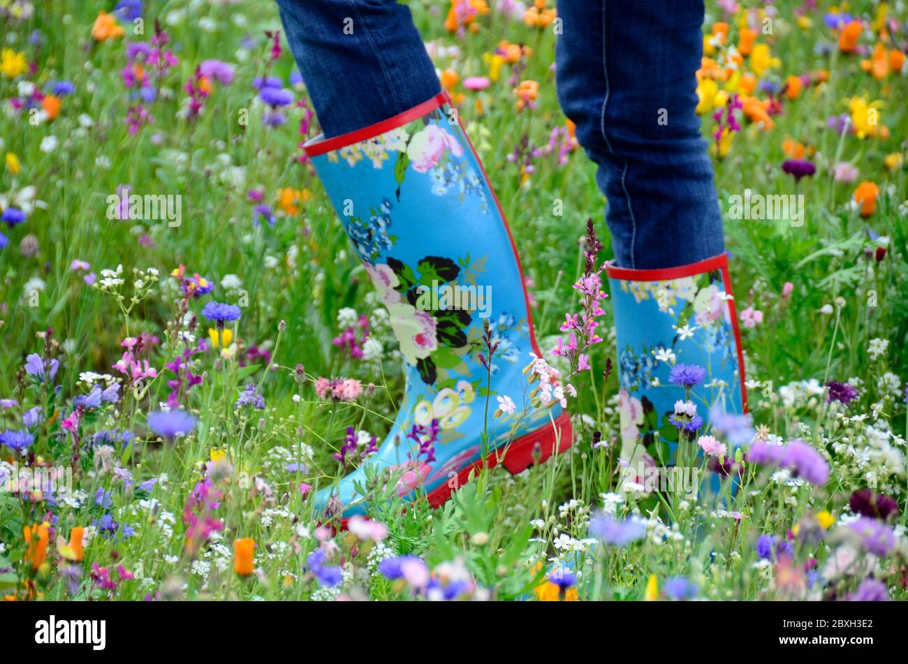 Me and my rubber boots in a flower field Stock Photo - Alamy