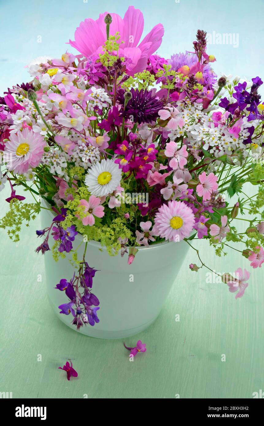 Bunch of different wildflowers Stock Photo