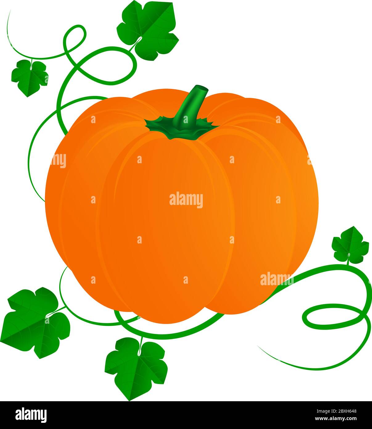 Pumpkin with leaves for Halloween isolated on white background Stock ...