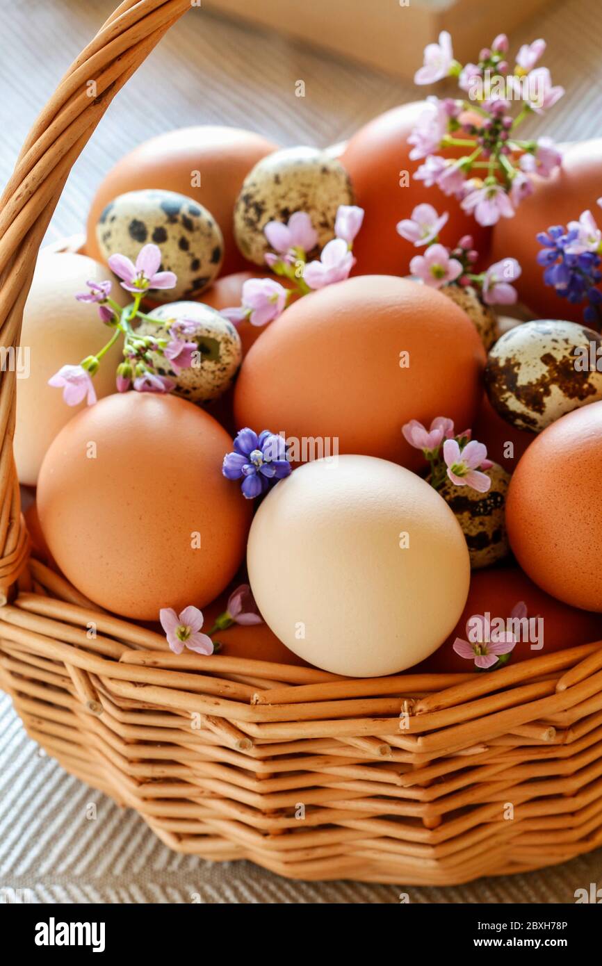 Wicker basket full of eggs decorated with spring flowers. Easter time Stock Photo