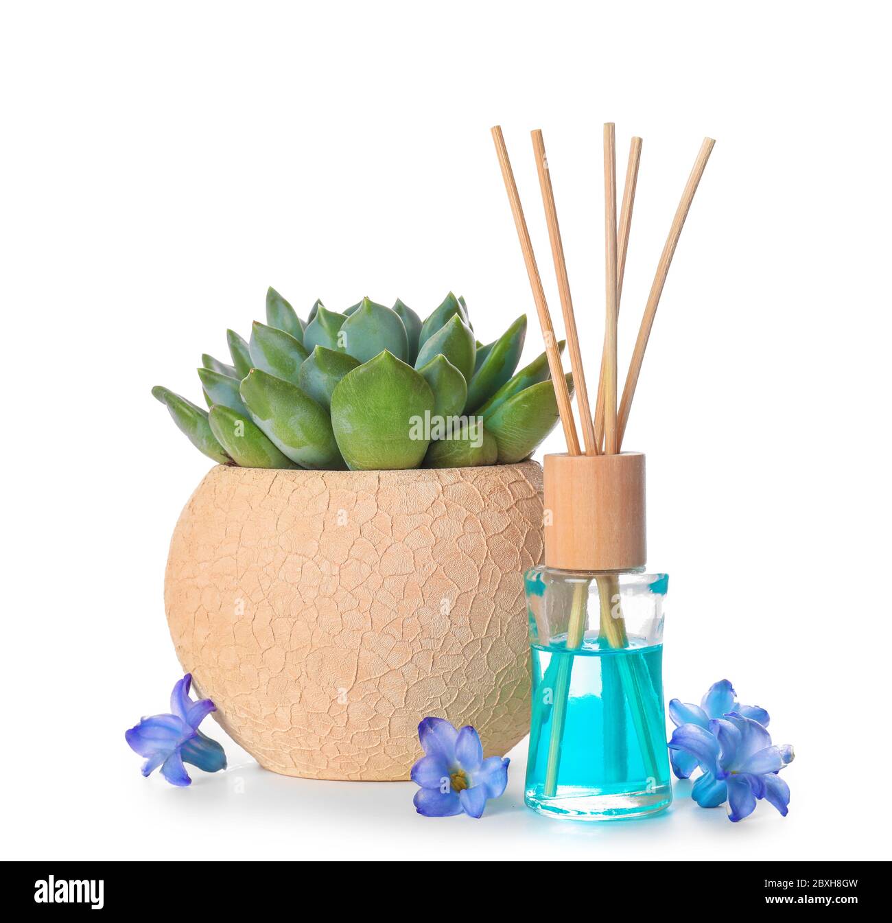 Herbal reed diffuser on white background Stock Photo - Alamy