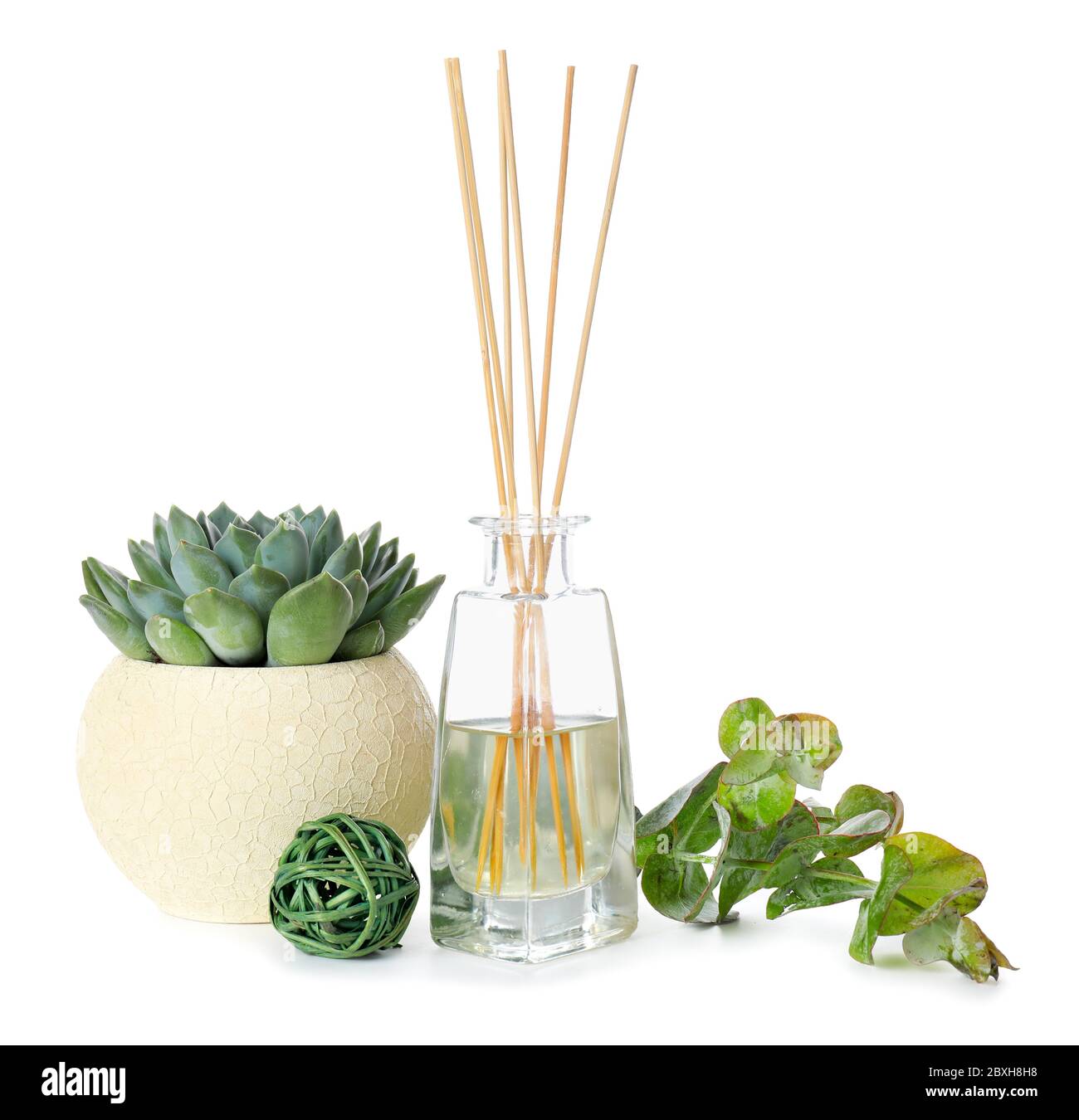 Herbal reed diffuser on white background Stock Photo - Alamy