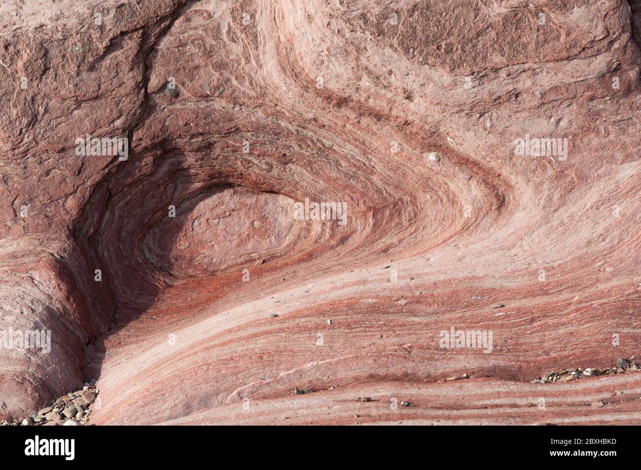 Small erosion pool reveals many shades of pink in strata of rocks  on South Devon coat. Stock Photo