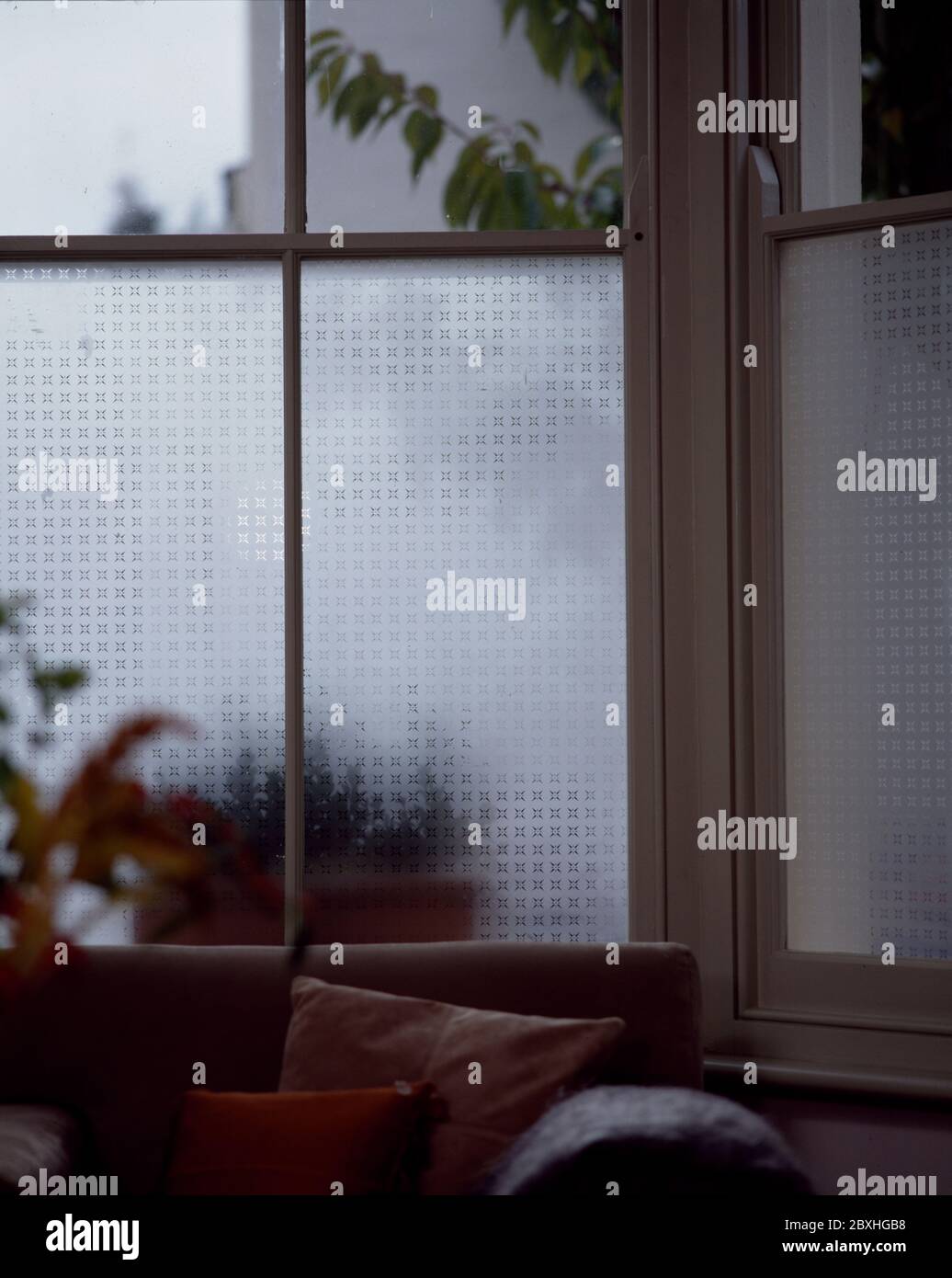 Privacy solution for bathroom window Stock Photo Alamy