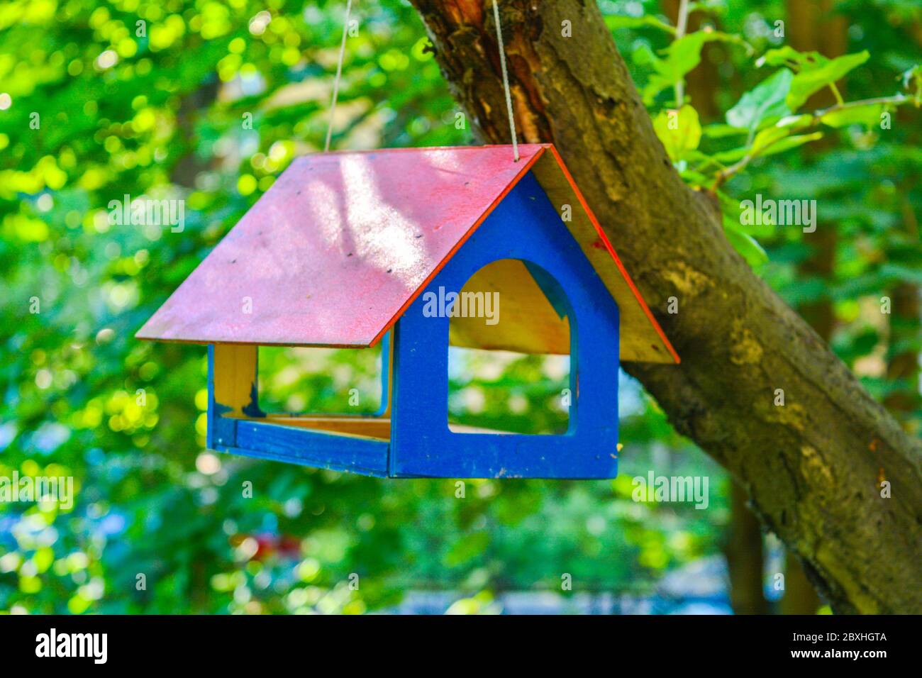 Park garden sky birds nature freedom hires stock photography and