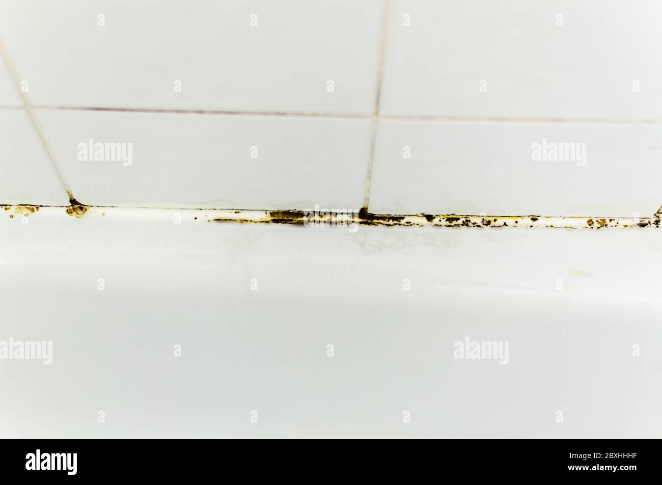 Mold growing on bathtub corner Stock Photo Alamy