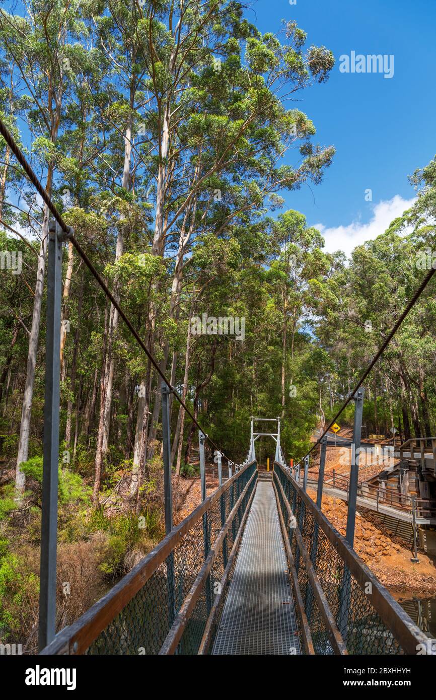 Pedestrian suspensionbridge at One Tree Bridge, Donnelly River, Western Australia, Australia Stock Photo
