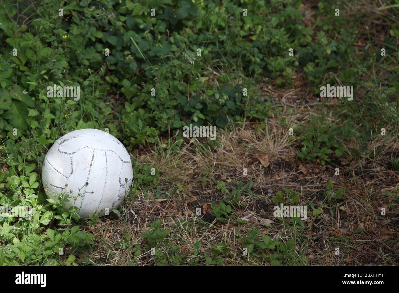 Football or Soccer ball lost in garden, UK Stock Photo Alamy