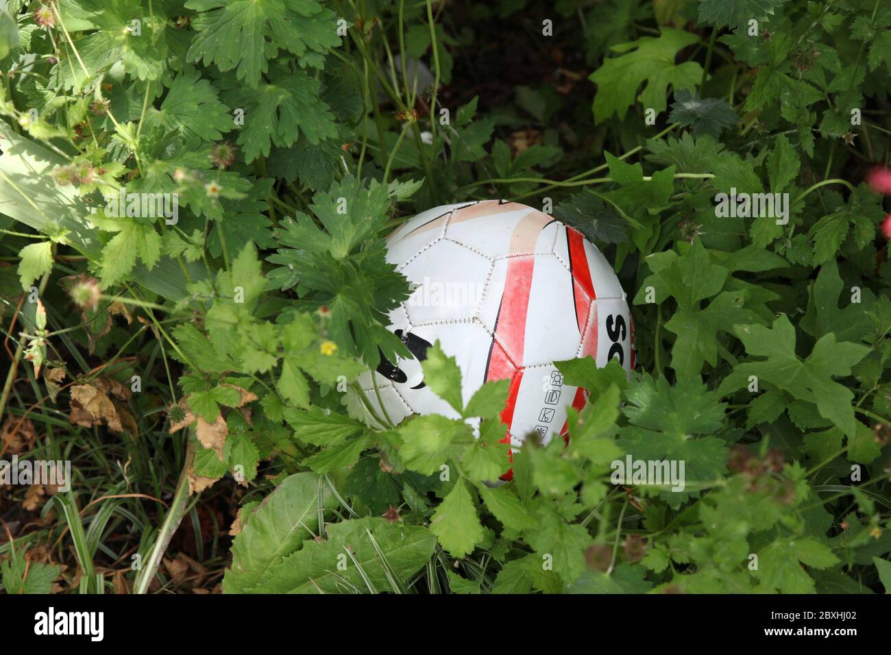 Football or Soccer ball lost in garden, UK Stock Photo Alamy