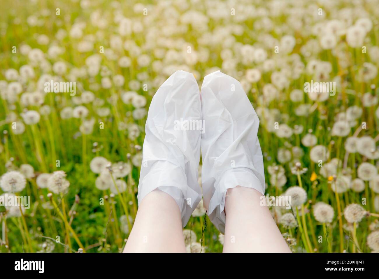 Moisturizing foot mask for dry heels feet. Woman wearing one time moisturizing foot mask socks outdoors with soft dandelion meadow on background. Stock Photo