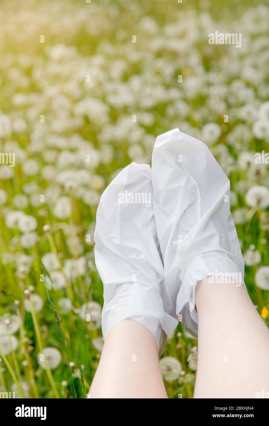 Moisturizing foot mask for dry heels feet. Woman wearing one time moisturizing foot mask socks outdoors with soft dandelion meadow on background. Stock Photo