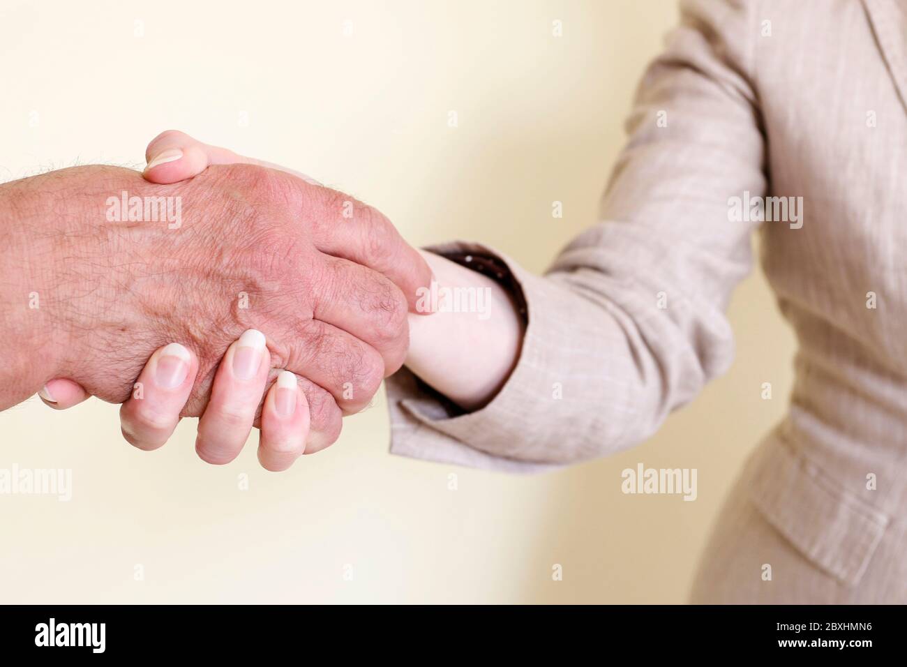 The woman and the man made a business agreement. They are shaking hands. Stock Photo
