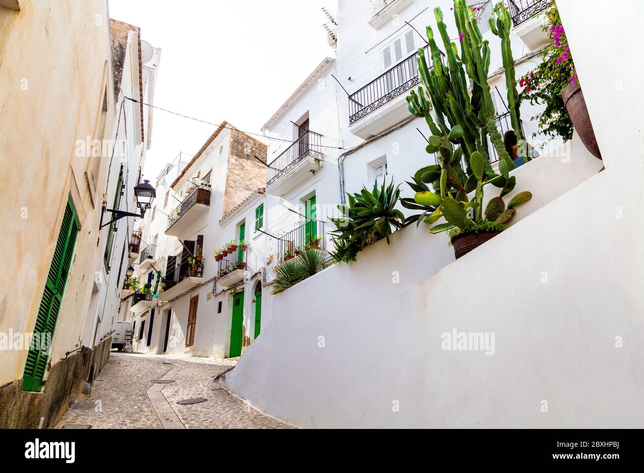 Whitewashed houses with green shutters on a narrow street in th eold town, Dalt Vila, Ibiza Town, Ibiza, Stock Photo