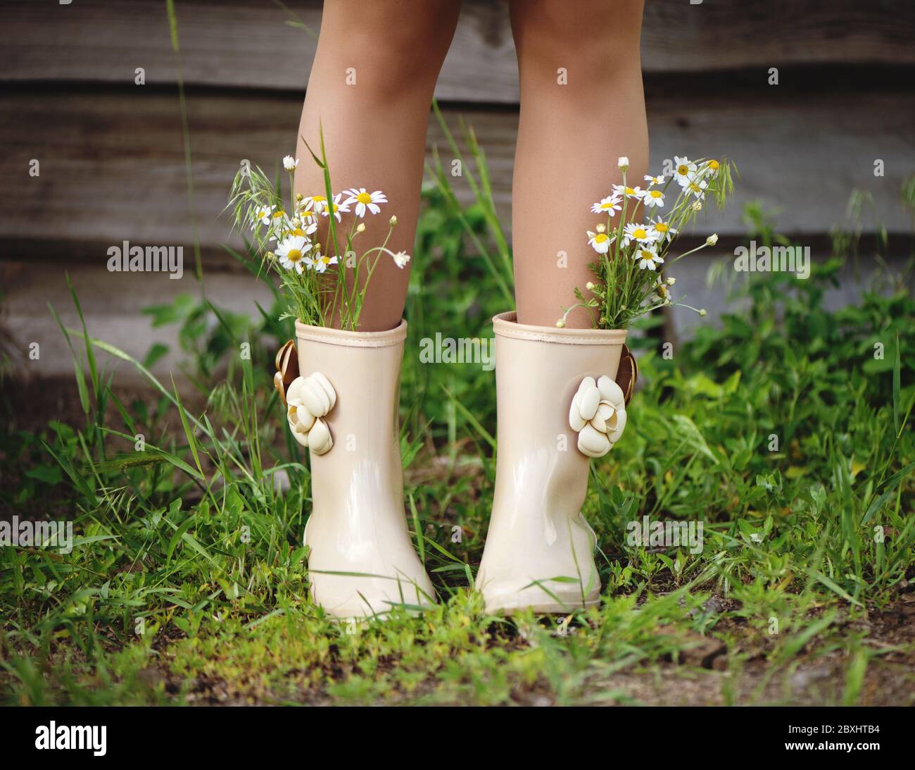 Woman legs with chamomile flowers in boots close up. Stock Photo