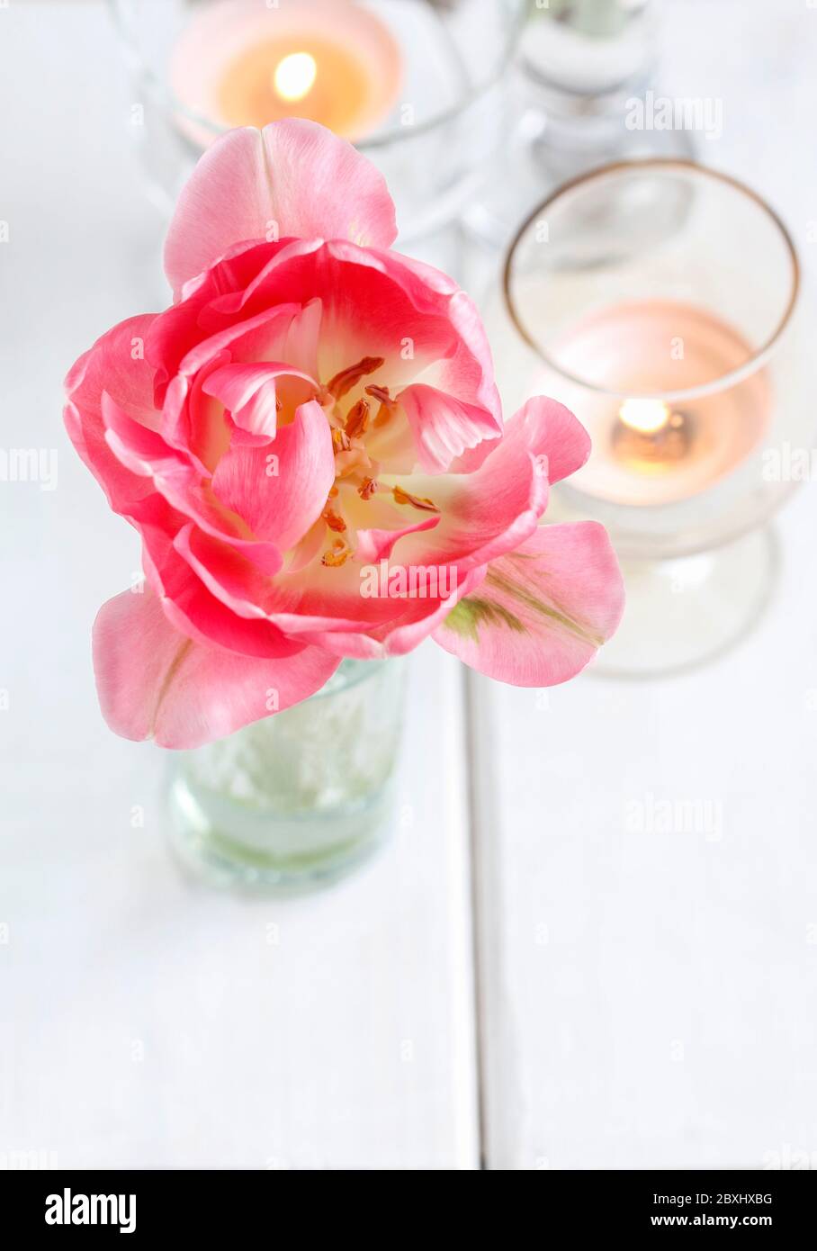 Simple, minimalistic table decoration with single pink tulip. Home decor Stock Photo